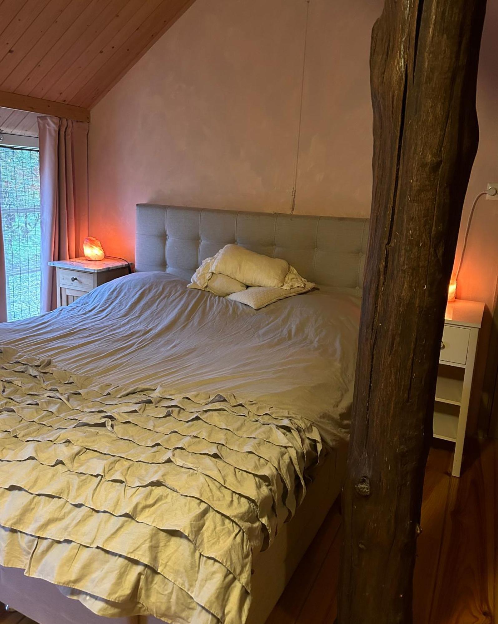 Landgoed De Bongel Bed & Breakfast De Wijk Exterior foto